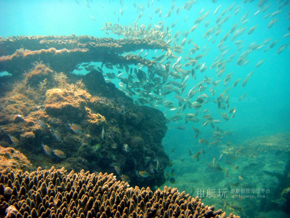 大圖04.jpg 大圖04.jpg